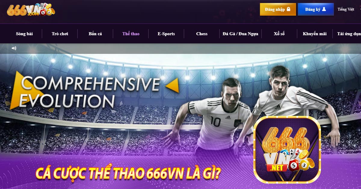 Cá Cược Thể Thao 666vn Là Gì?