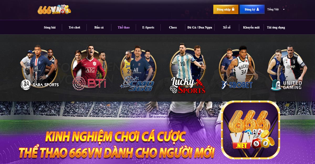 Kinh Nghiệm Chơi Cá Cược Thể Thao 666vn Dành Cho Người Mới