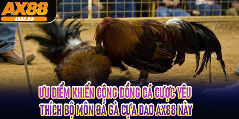 Ưu điểm khiến cộng đồng cá cược yêu thích bộ môn đá gà cựa dao Ax88 này