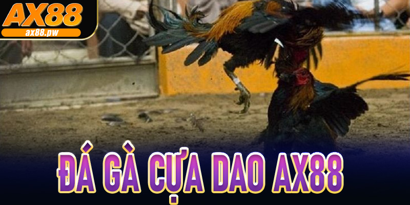 Đá gà cựa dao AX88